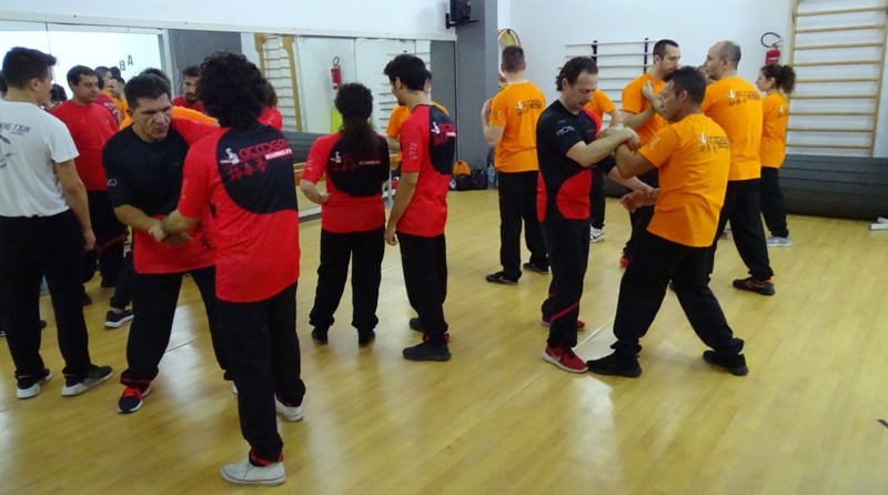 Kung Fu Academy di Sifu Mezzone Caserta Seminario di Weng Chun Tang Yik con GM Sunny So in Italia presso la scuola di arti marziali di wing chun e kung fu a Caserta (2)